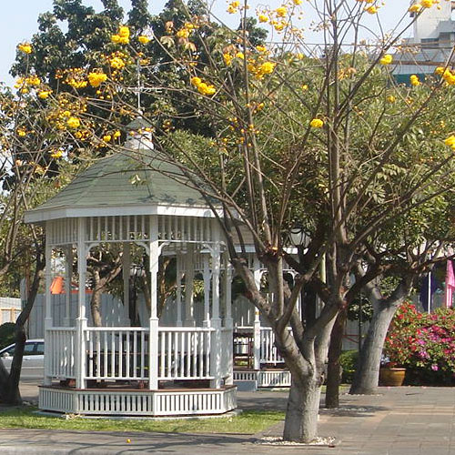 Victoria Princess